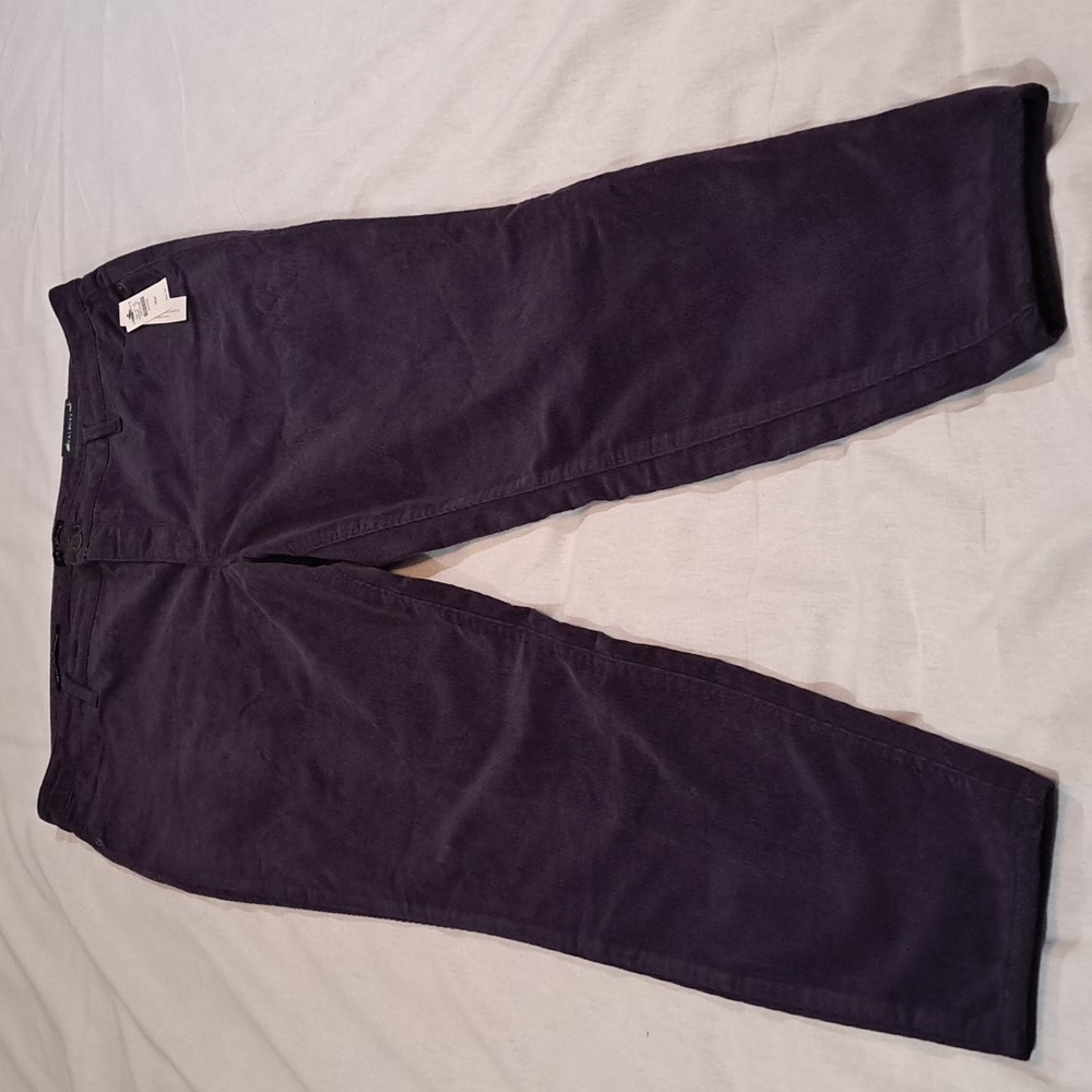 Talbots Slimming Straight Leg Corduroy Purple Size 16P Jegging Pants